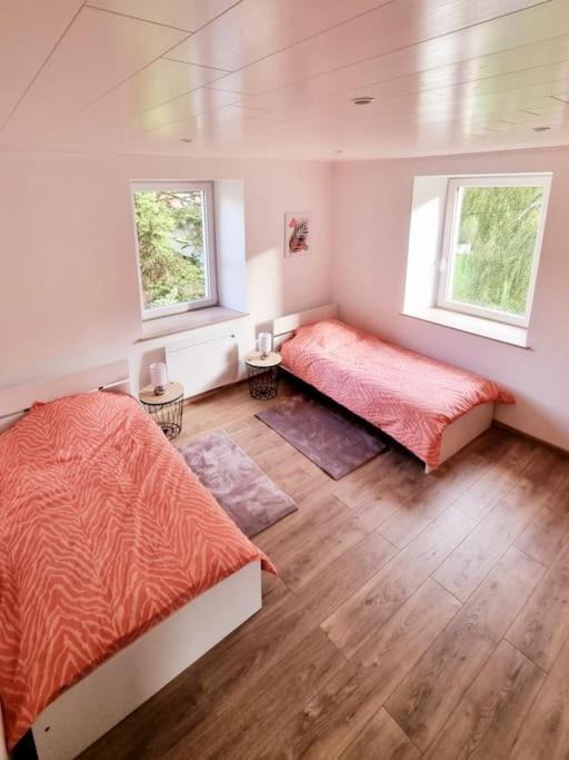 Appartement Chaleureux 80M2 Orbey Εξωτερικό φωτογραφία