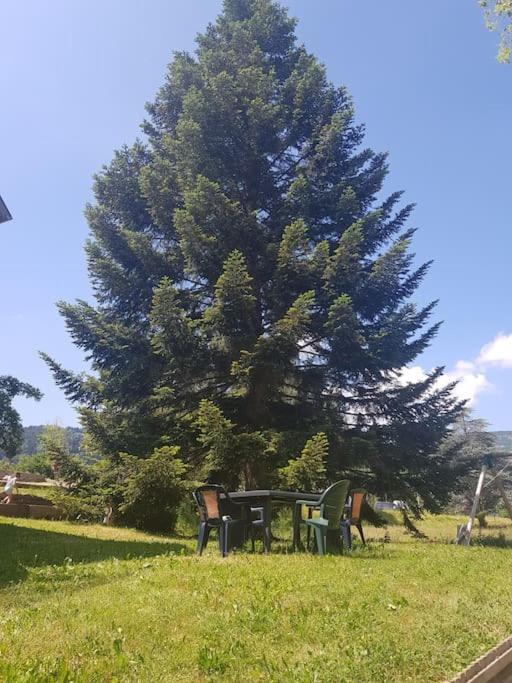 Appartement Chaleureux 80M2 Orbey Εξωτερικό φωτογραφία