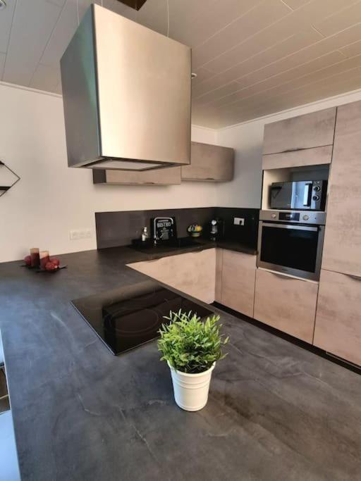 Appartement Chaleureux 80M2 Orbey Εξωτερικό φωτογραφία